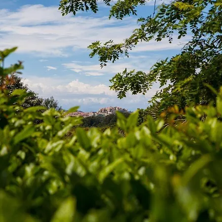 Padro شقة فندقية 3*